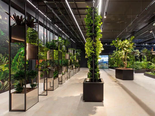 biophilic design